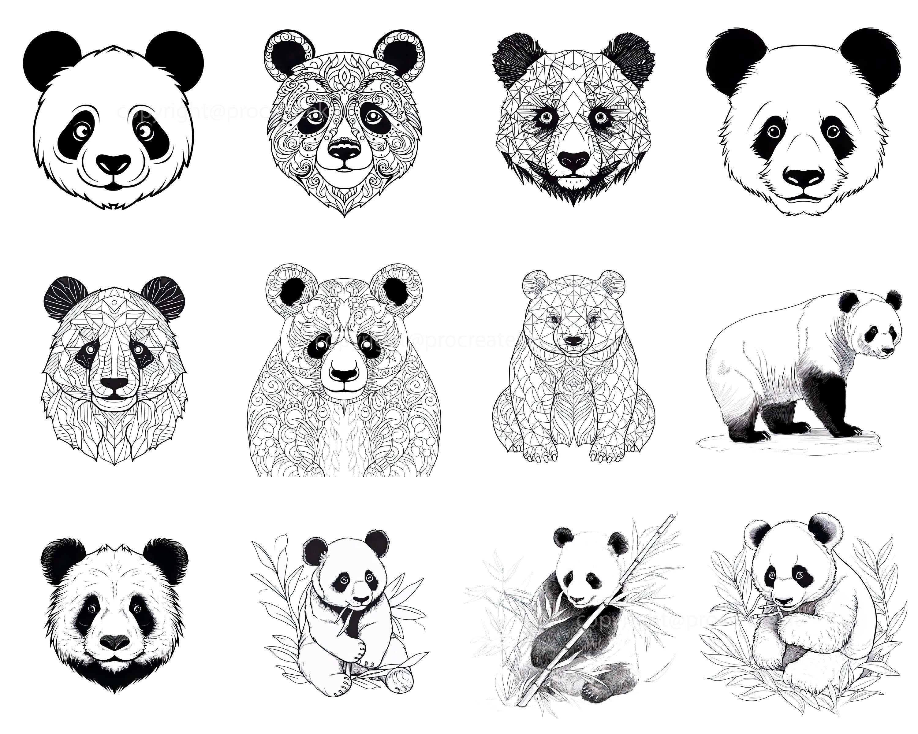 100+ Procreate Panda Stamps, Panda With Bamboo and Foresst Brushes for ...