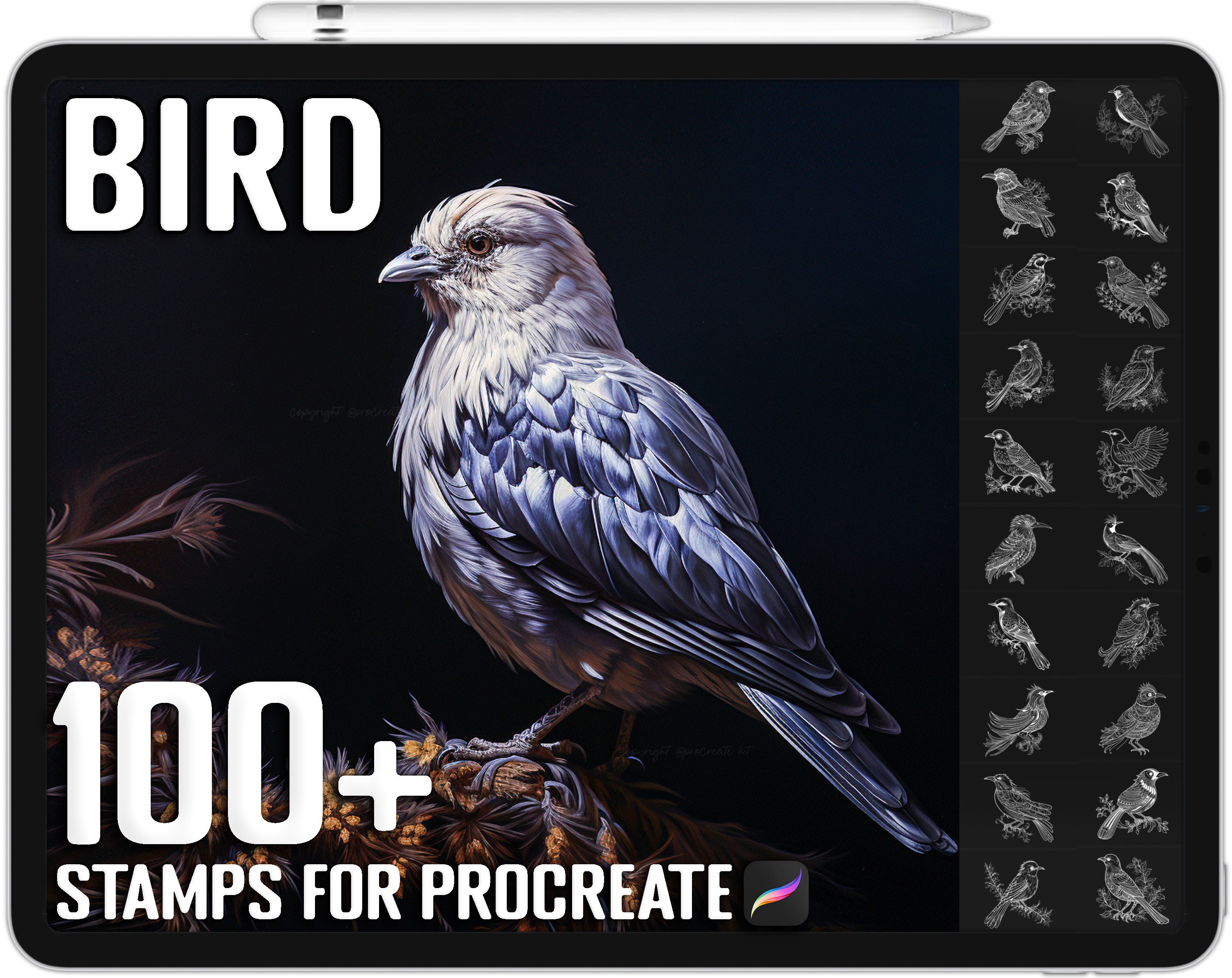 Más de 100 sellos de aves para Procreate – Pinceles de aves realistas para iPad | Descarga digital instantánea