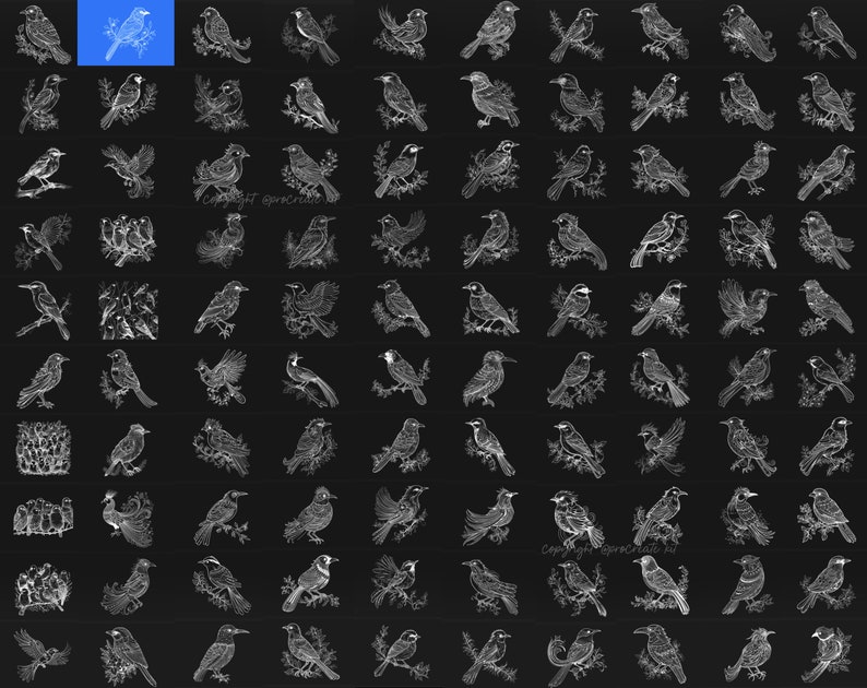 100+ Procreate Bird Stamps, Realistic Bird Brushes for Procreate ...