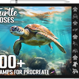 100+ Procreate Turtle Stamps, Unique Realistic Turtle Brushes for Procreate, Instant Digital Download