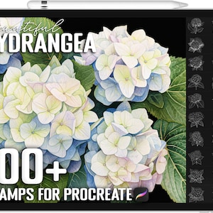 May include: A digital illustration of hydrangea flowers in shades of blue, white, and pink. The image is labelled "beautiful HYDRANGEA" and "100+ STAMPS FOR PROCREATE".