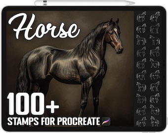 100+ Procreate Horse Stamps, Horse Brushes for Procreate, Instant Digital Download