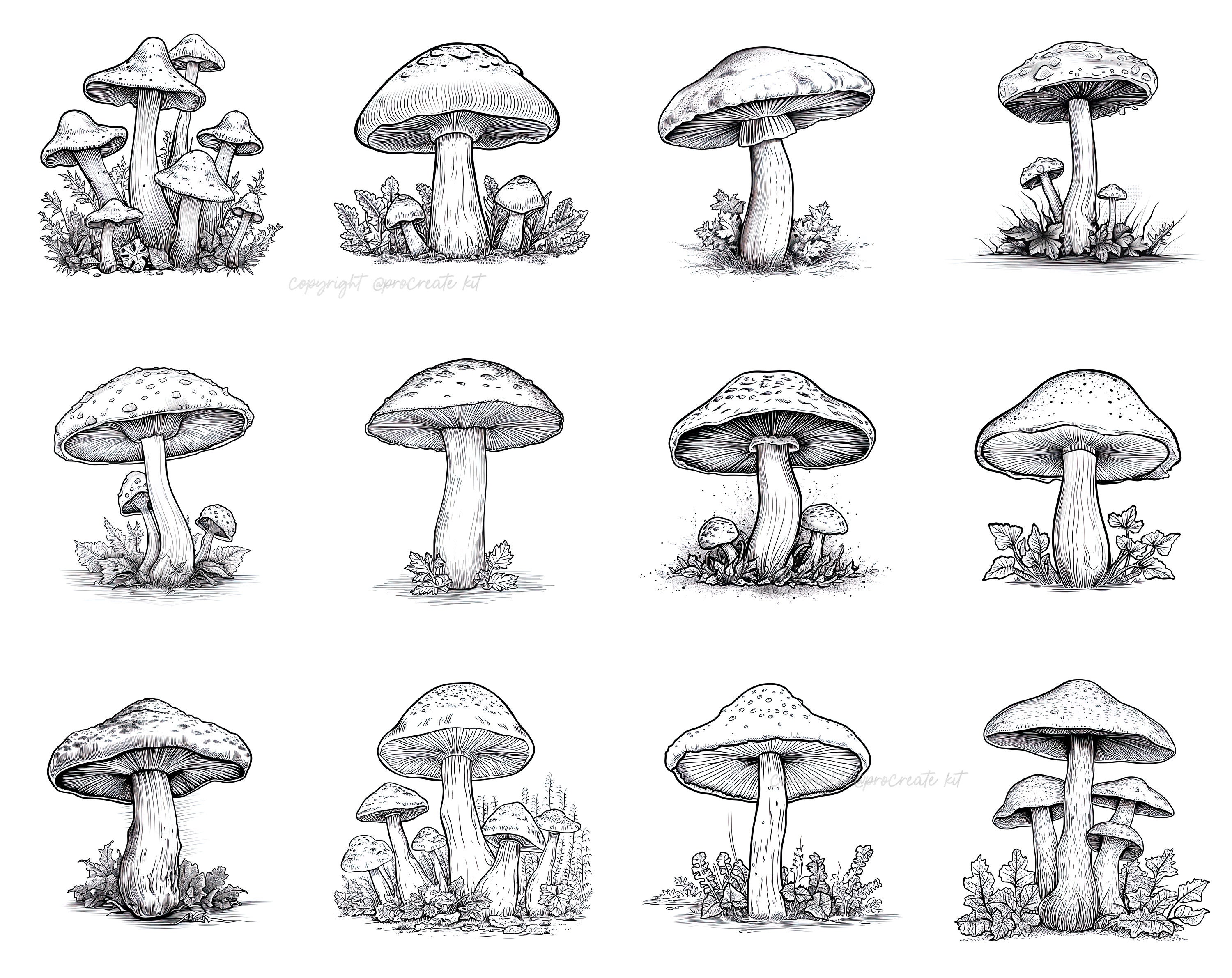 100+ Procreate Realistic Mushroom Stamps, Mushroom Brushes for ...