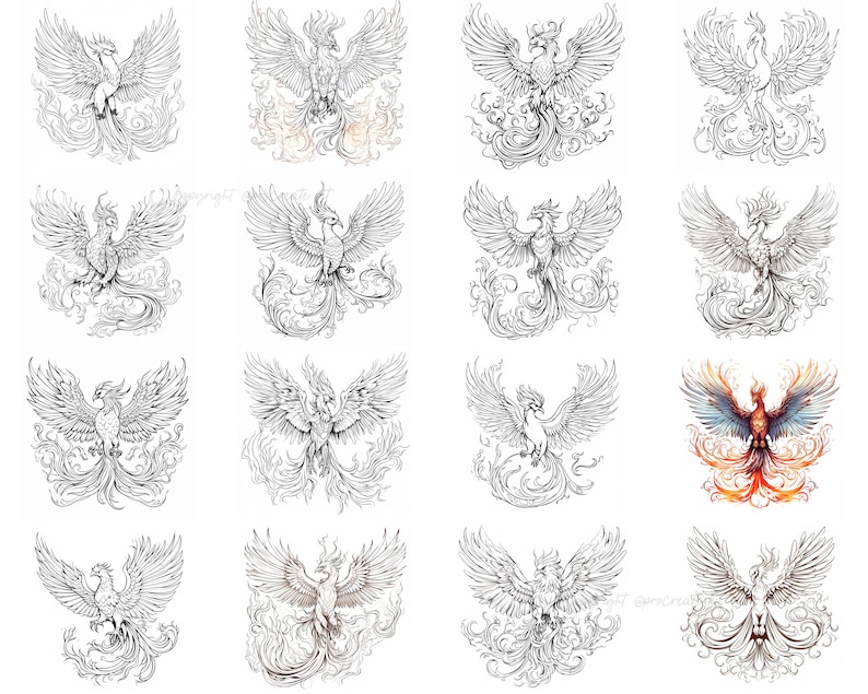 100 Procreate Phoenix Bird Stamps, Phoenix Brushes for Procreate, Instant Digital Download image 7