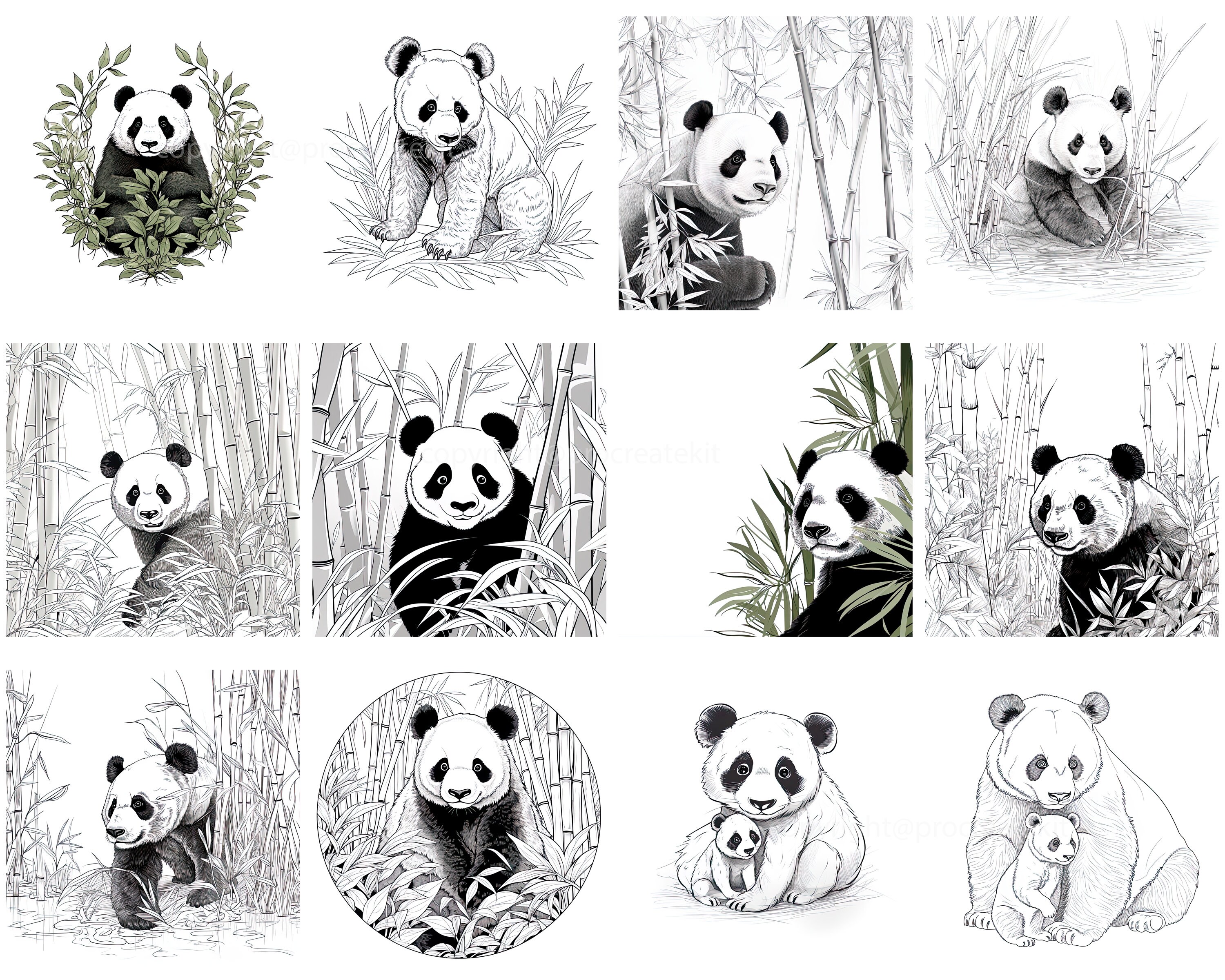 100+ Procreate Panda Stamps, Panda With Bamboo and Foresst Brushes for ...