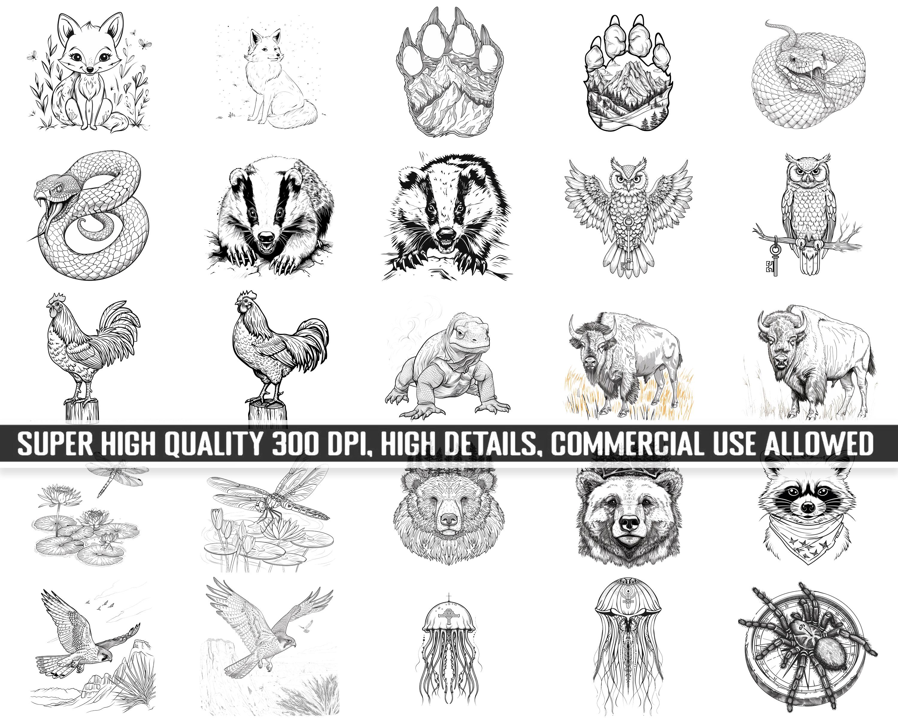 100+ Procreate Wildlife & Nature Stamps, Brushes for Procreate, Instant ...