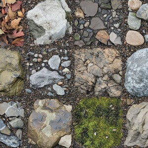 100+ Procreate Rainforest Ground Brushes, Realistic Texture Brushes for ...