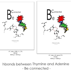 Könnte beinhalten: Diagramm, das die Wasserstoffbrückenbindungen zwischen Thymin- und Adeninbasen in der DNA zeigt. Die Basen sind durch eine rote gestrichelte Linie verbunden. Der Text "Be connected" steht über dem Diagramm.