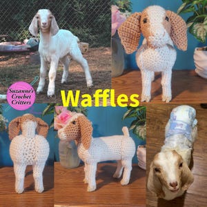 Made To Order Crochet Goat