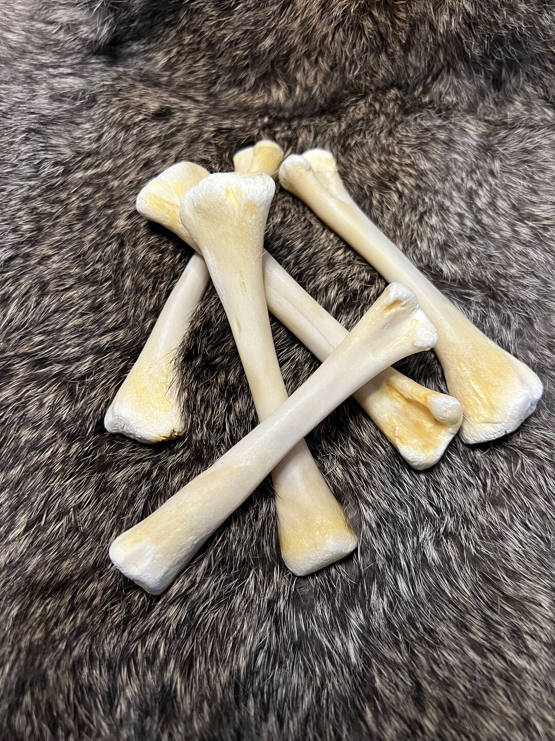 Whitened Throwing Bones Set Etsy