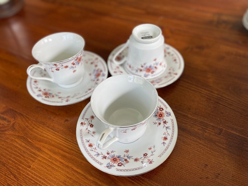 Dynasty Fine China Copenhagen Cups and Saucers Platinum Rim Etsy