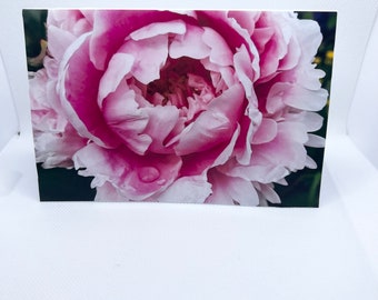 A6 Peony flower photography card