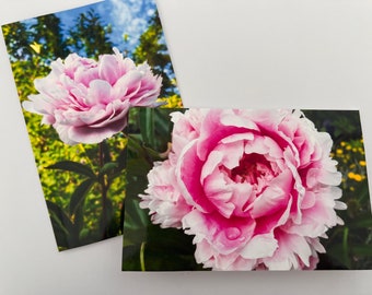 Set of 2 peony flower botanical cards