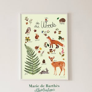 Poster "In the Woods" für ein Kinderzimmer oder Spielzimmer - Dekoratives und lehrreiches Poster für Kinder - Namen auf Englisch - Hellgrün