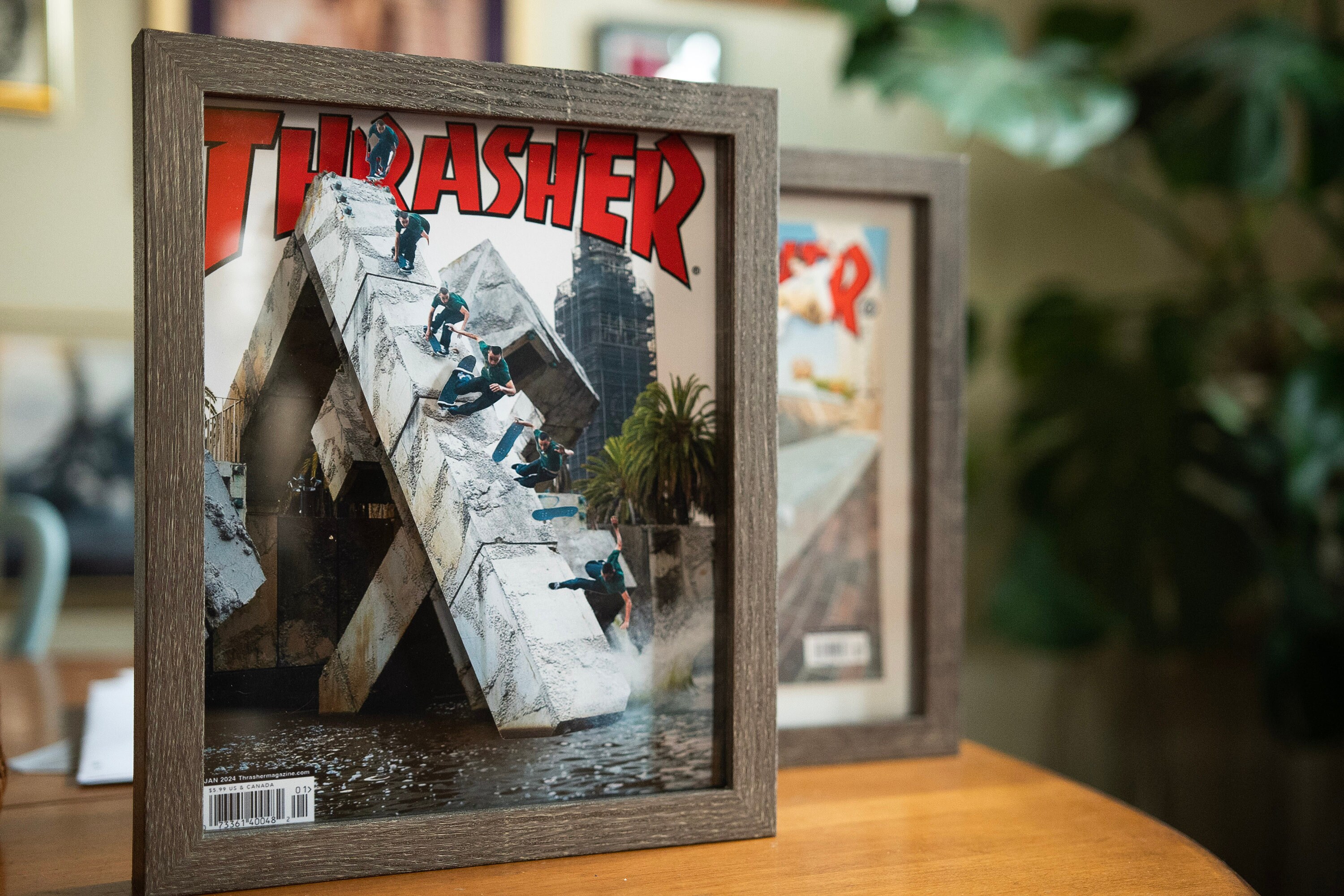 Skateboarding Wall Art - Thrasher Cover Pop Out - Ducky
