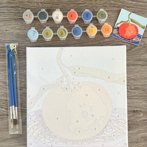 May include: A paint-by-numbers kit with a canvas depicting a fruit, numbered paint pots, and brushes. The kit includes a reference image. The colours are beige, orange, blue, and yellow. The canvas measures approximately 30 cm x 30 cm.