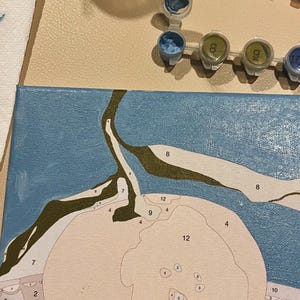 May include: A paint-by-numbers canvas depicting a peach, partially coloured. The canvas rests on a beige surface, with small paint pots and a paint jar nearby. The peach is divided into numbered sections, ready for colour.