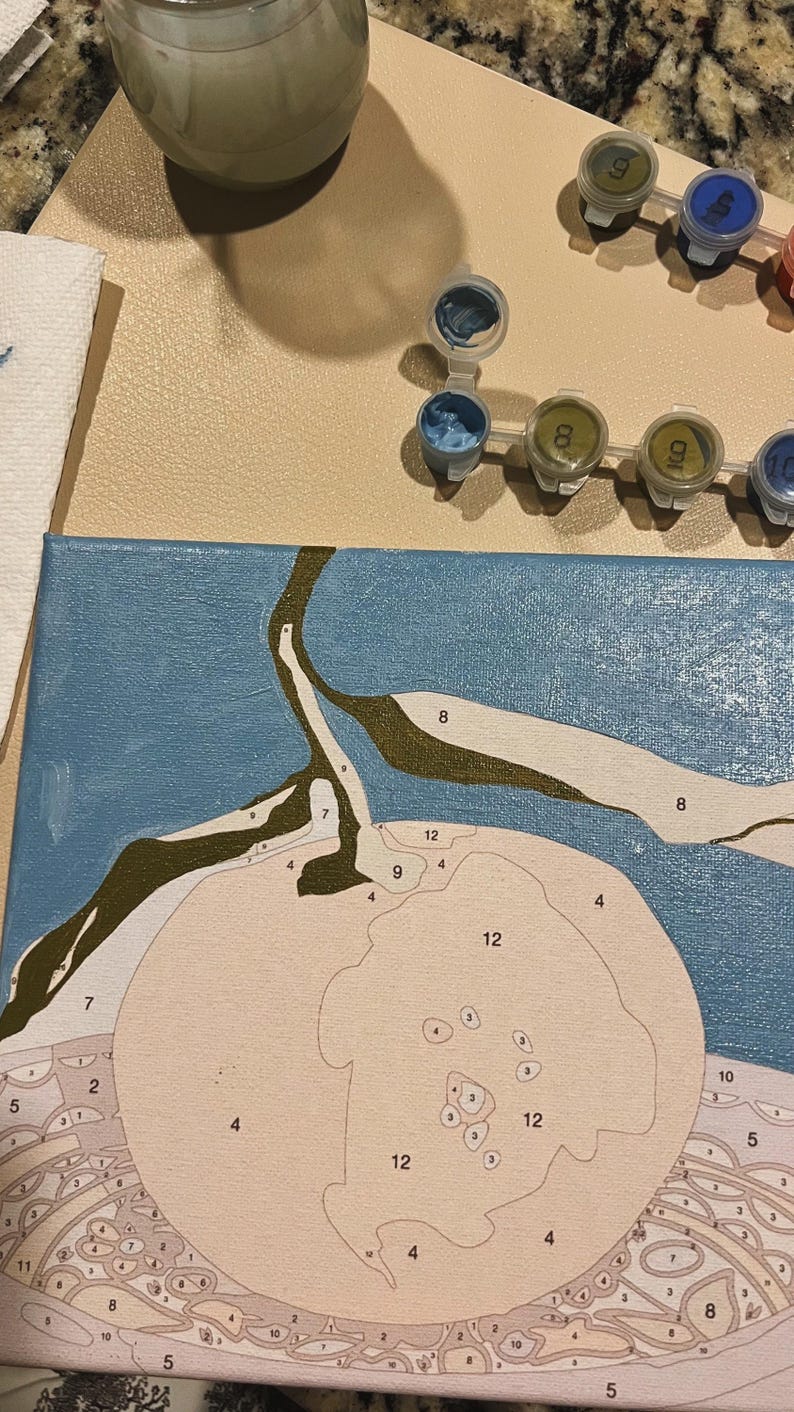 May include: A paint-by-numbers canvas depicting a peach, partially coloured. The canvas rests on a beige surface, with small paint pots and a paint jar nearby. The peach is divided into numbered sections, ready for colour.