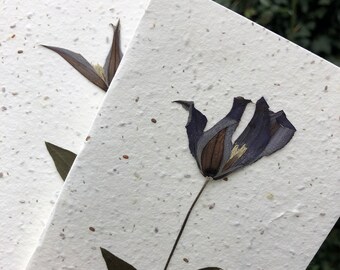 Clematis (dry pressed)- plantable wildflower seed mix, biodegradable greeting cards, bee-friendly plants, handmade seed paper