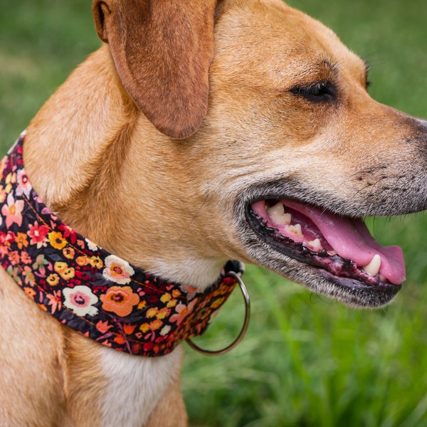 Tonos de naranja ancho floral collar de perro / collar de perro de 2 pulgadas / collar de perro ancho / collar de perro grande / collar de perro de 1 pulgada / collar de perro de flores