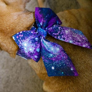 Celestial Bow Dog Collar: Thick Collar for Large Breeds