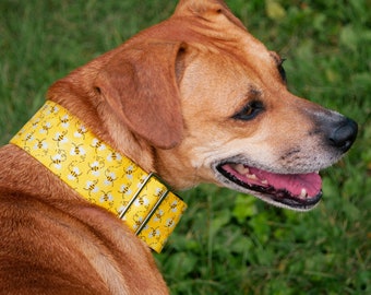 Glitter Bumble Bee Dog Collar | 2 Inch Dog Collar | Wide Dog Collar | Big Breed Dog Collar | Yellow Dog Collar | Girl Dog Collar |