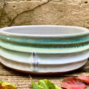 CERAMIC FOOD BOWL #68. Stoneware dish for discriminating dogs. Wheel thrown studio pottery.