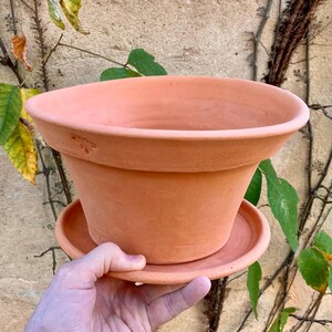 Puede incluir: Una maceta de color terracota con un platillo a juego. La maceta tiene un borde ancho y acampanado y una superficie ligeramente texturizada. Un pequeño diseño decorativo es visible en el lateral. Para plantar flores y plantas.