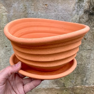 Puede incluir: Una maceta de color terracota, acanalada, con un platillo a juego. La maceta tiene una forma asimétrica única, más ancha en la parte superior y estrechándose hacia la base. La superficie texturizada añade interés visual.