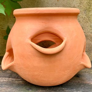 May include: A terracotta-colored, handmade planter with a large, oval opening and two smaller openings on the sides. The pot has a rounded body and a wide rim. The planter is designed for outdoor use and adds a rustic touch to any garden.
