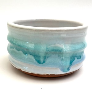 SMALL DOG BOWL #44 handmade ceramic bowl for small dogs, puppies, cats and other small pets - small water bowl - food safe  - one of a kind