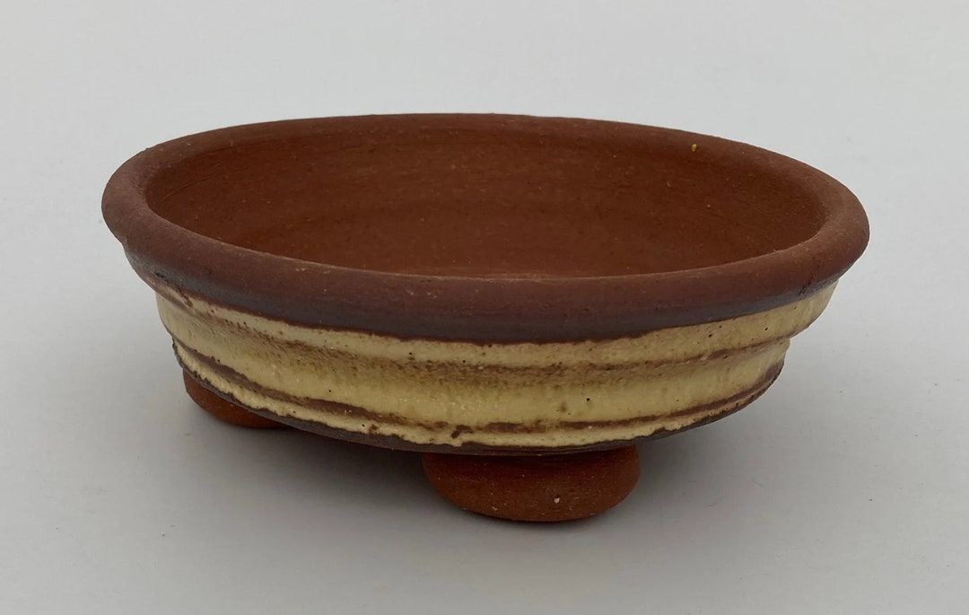 SMALL SUCCULENT POT 62 Bonsai Cactus Planter for Plants Cacti Etsy