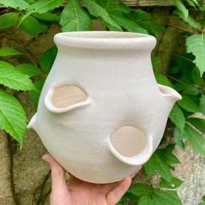 May include: A matte white ceramic strawberry planter with a wide circular opening at the top and multiple smaller, protruding circular openings along the sides for planting individual stems, featuring a smooth, unglazed, and uniform surface.