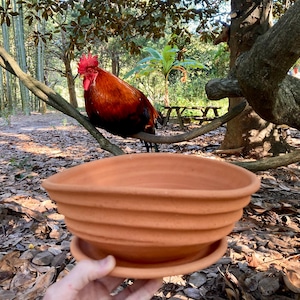 May include: A terracotta plant pot with a matching saucer, featuring a ribbed, stepped exterior design. The bowl-shaped vessel has a wide, open top and a matte, earthy orange finish, held up against a backdrop of a rooster perched on a tree branch.