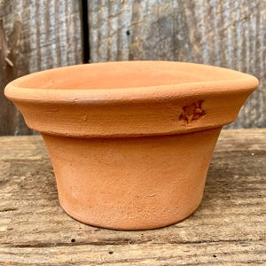 Puede incluir: Una pequeña maceta de color terracota con un borde ancho y ligeramente ensanchado. La maceta tiene un diseño simple y clásico y un pequeño emblema en relieve en el borde. La maceta está sobre una superficie de madera envejecida.