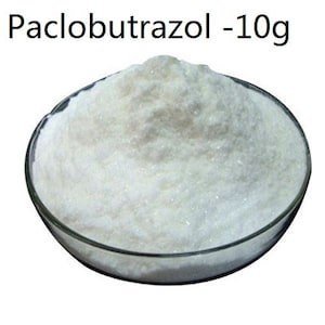 Puede incluir: Un polvo blanco, Paclobutrazol, en un plato de vidrio transparente. El polvo está etiquetado como 10g.