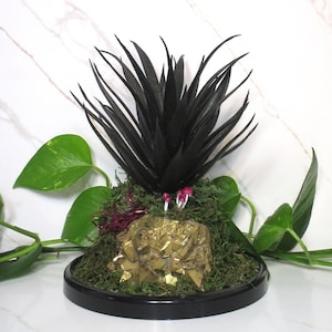 Fairycore Nature Dome with Gold Crystal, Handpainted Mushroom Terrarium Cloche, Moss, Succulent & Cottagecore Decor, Whimsical Art Gift