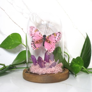 Fairycore Butterfly Terrarium, Glass Cloche with Purple Crystal, Moss & Pink Wings, Cottagecore Decor, Mystical Nature Diorama Art Gift