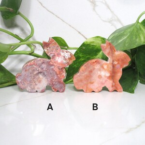 May include: Two carved stone rabbit figurines. One is a mix of pink, white, and brown, labeled "A". The other is a solid peach color, labeled "B". The bunnies are set against a backdrop of green leaves and a white surface.
