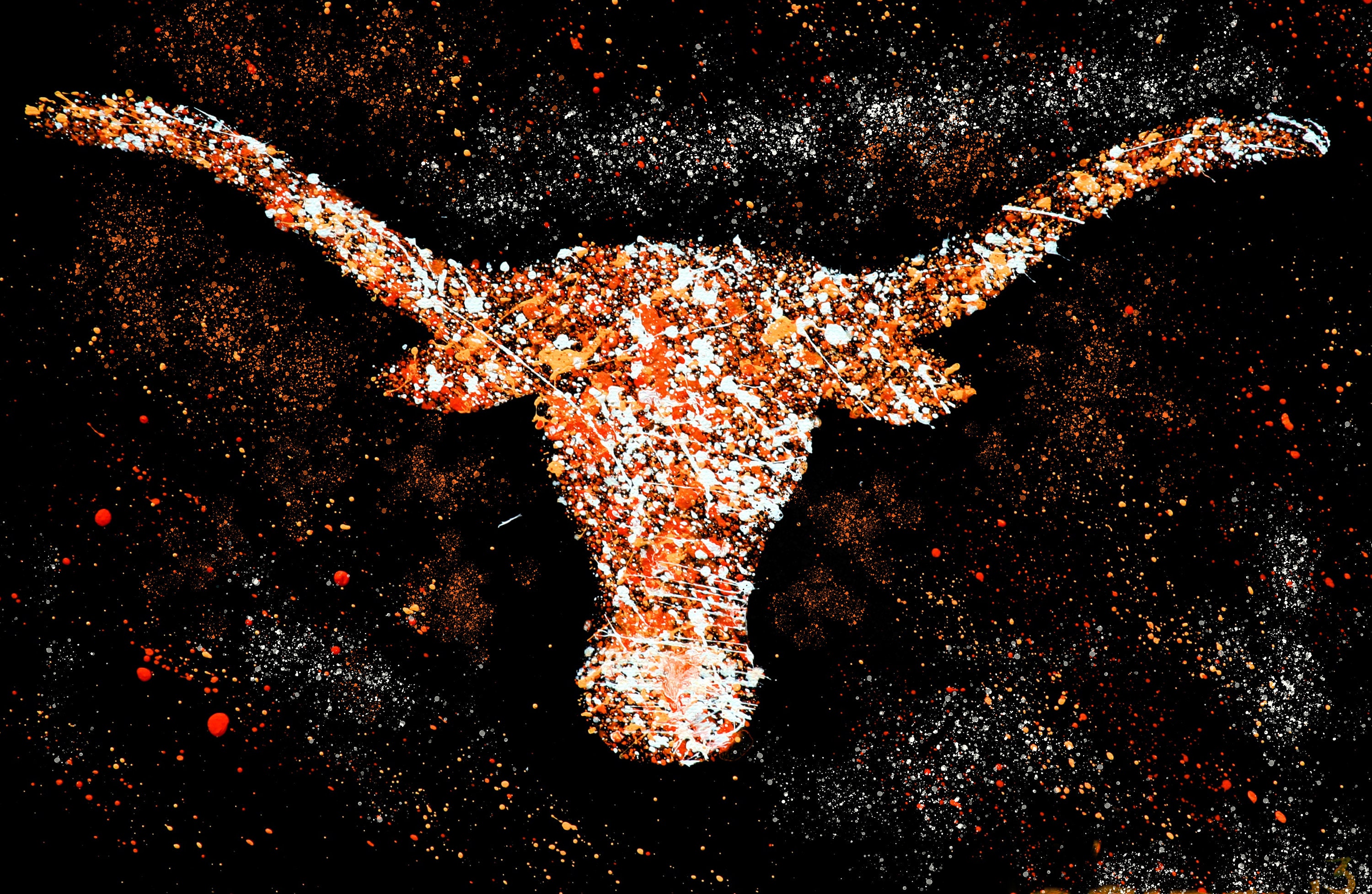 University of Texas Longhorns Posters - Etsy