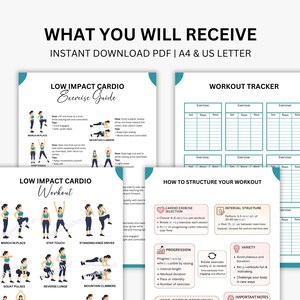 May include: A collection of printable workout guides and a workout tracker. The guides include instructions for low-impact cardio exercises, such as mountain climbers and step touches. The text on the top reads "WHAT YOU WILL RECEIVE".