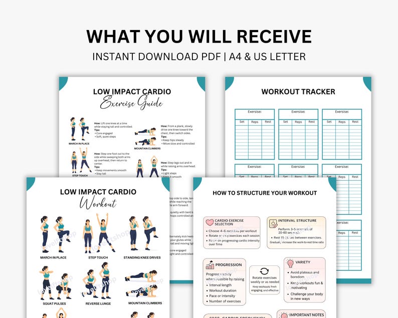 May include: A collection of printable workout guides and a workout tracker. The guides include instructions for low-impact cardio exercises, such as mountain climbers and step touches. The text on the top reads "WHAT YOU WILL RECEIVE".