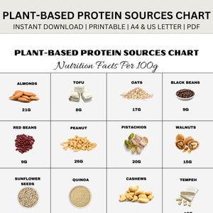 Plant-Based Protein Foods Reference, Protein Rich Food Chart, Nutrition Guide, Protein Meal Planner, Keto Food List, Protein Chart