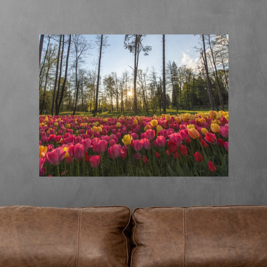 Tulip Field Canvas Print Wall Decor, Canvas Art Home Decor Canvas Wall ...