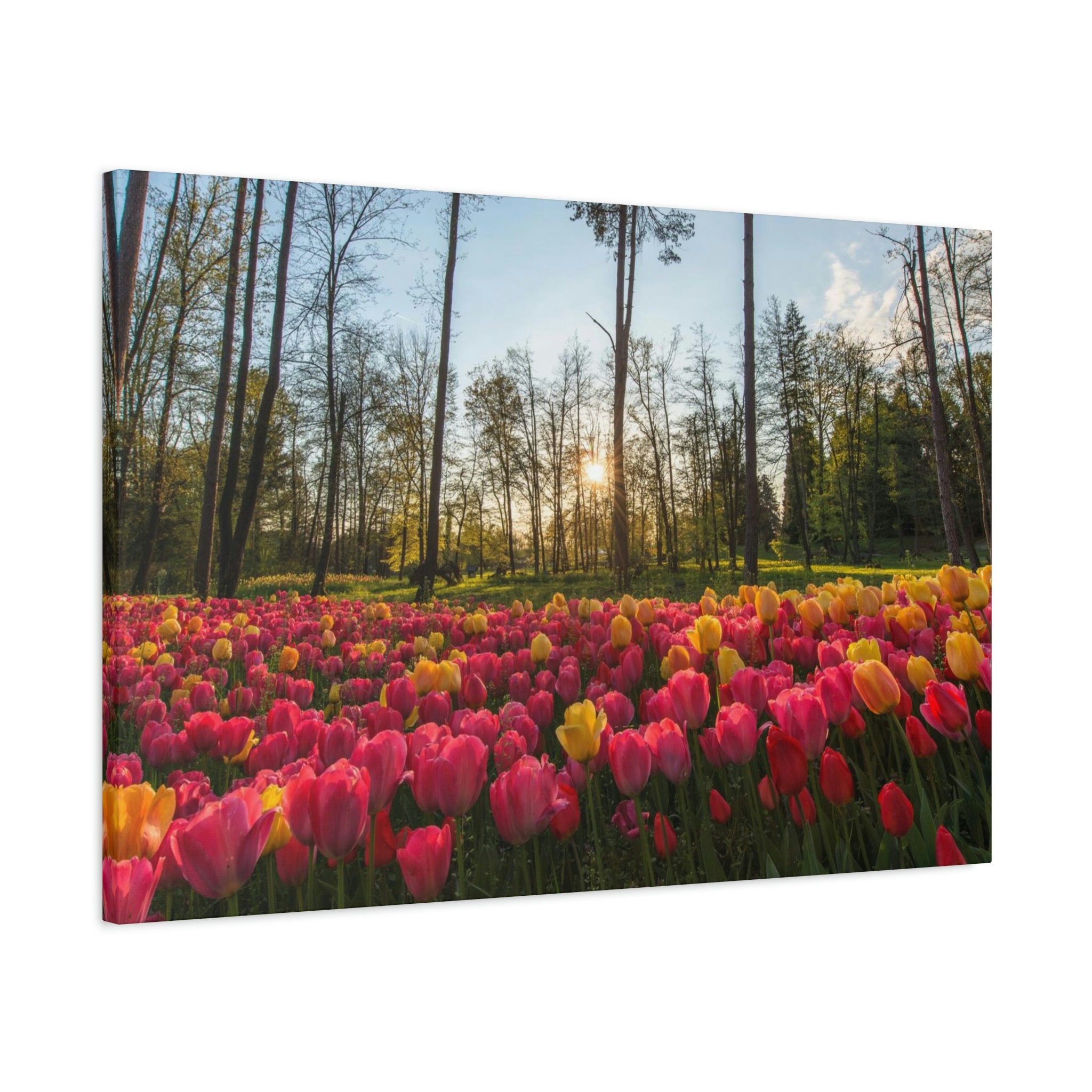 Tulip Field Canvas Print Wall Decor, Canvas Art Home Decor Canvas Wall ...