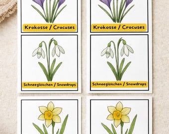 May include: Six illustrated cards featuring spring flowers: purple crocuses, white snowdrops, and yellow daffodils. Each card has the flower's name in German and English. The cards are on a neutral background.