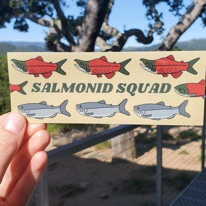 Salmonid Squad Sticker - Sockeye Salmon *Mini Bumper Sticker* - Sticker for Fish Nerds Wildlife Biologists and Fisherpeople