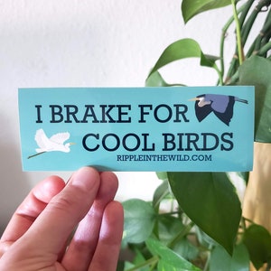 I Brake For Cool Birds Sticker - Bird Nerd *Mini Bumper Sticker* - Sticker for Birders and Ornithologists