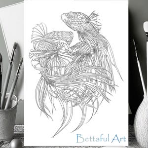 Betta Fish Coloring Pages | Printable Aquarium Fish Art | Realistic Betta Downloads for Adults & Kids | Instant Download
