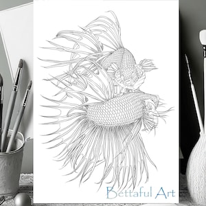 Betta Fish Coloring Pages | Printable Aquarium Fish Art | Realistic Betta Downloads for Adults & Kids | Instant Download